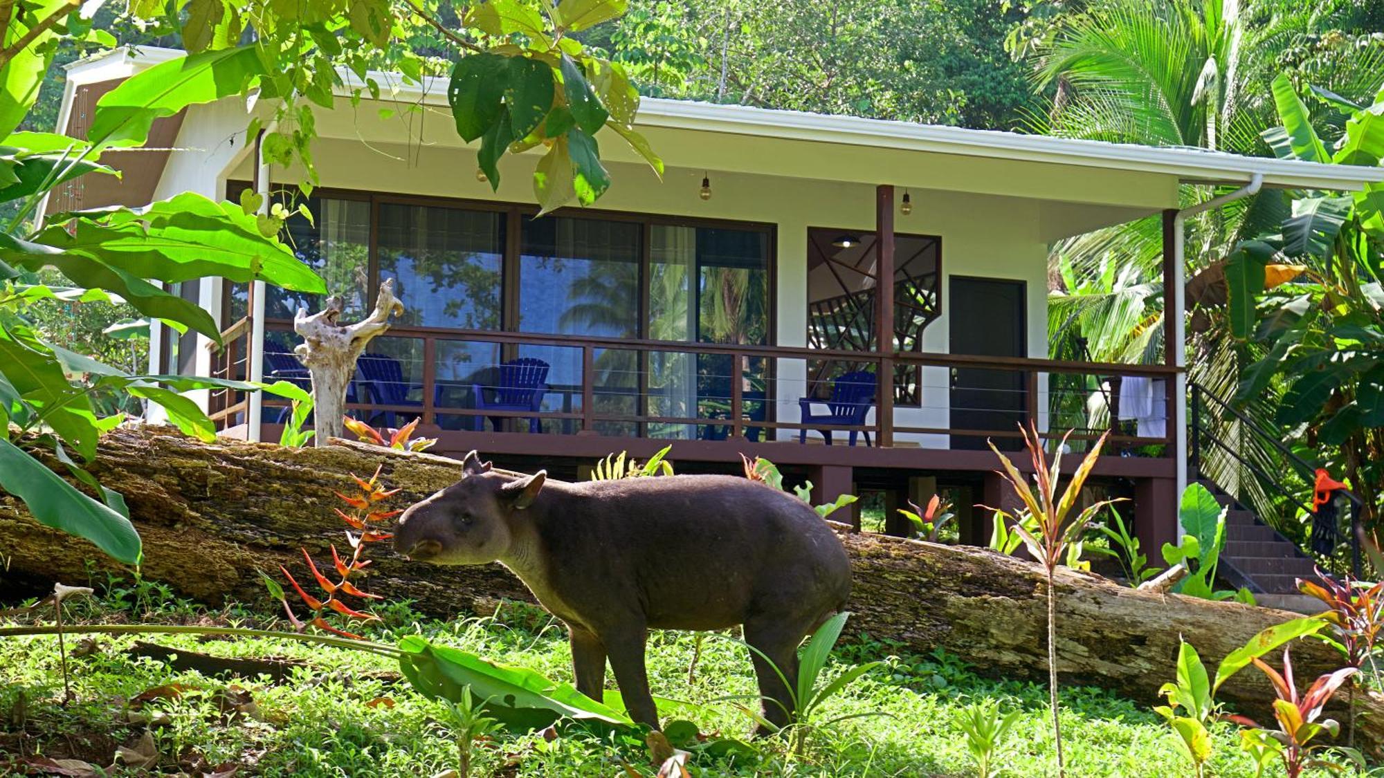 Eden Corcovado Villa San Pedrillo Dış mekan fotoğraf