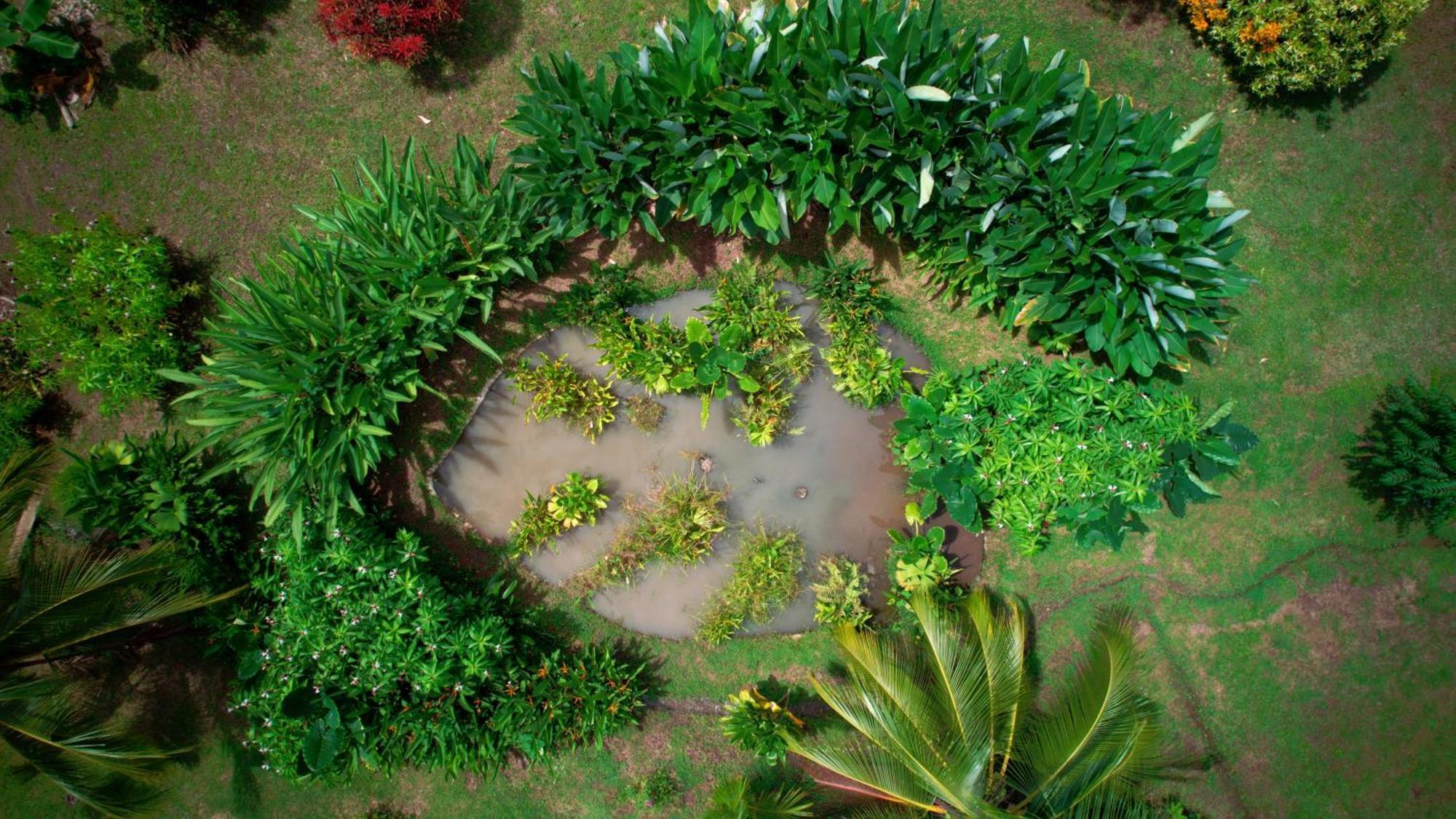 Eden Corcovado Villa San Pedrillo Dış mekan fotoğraf