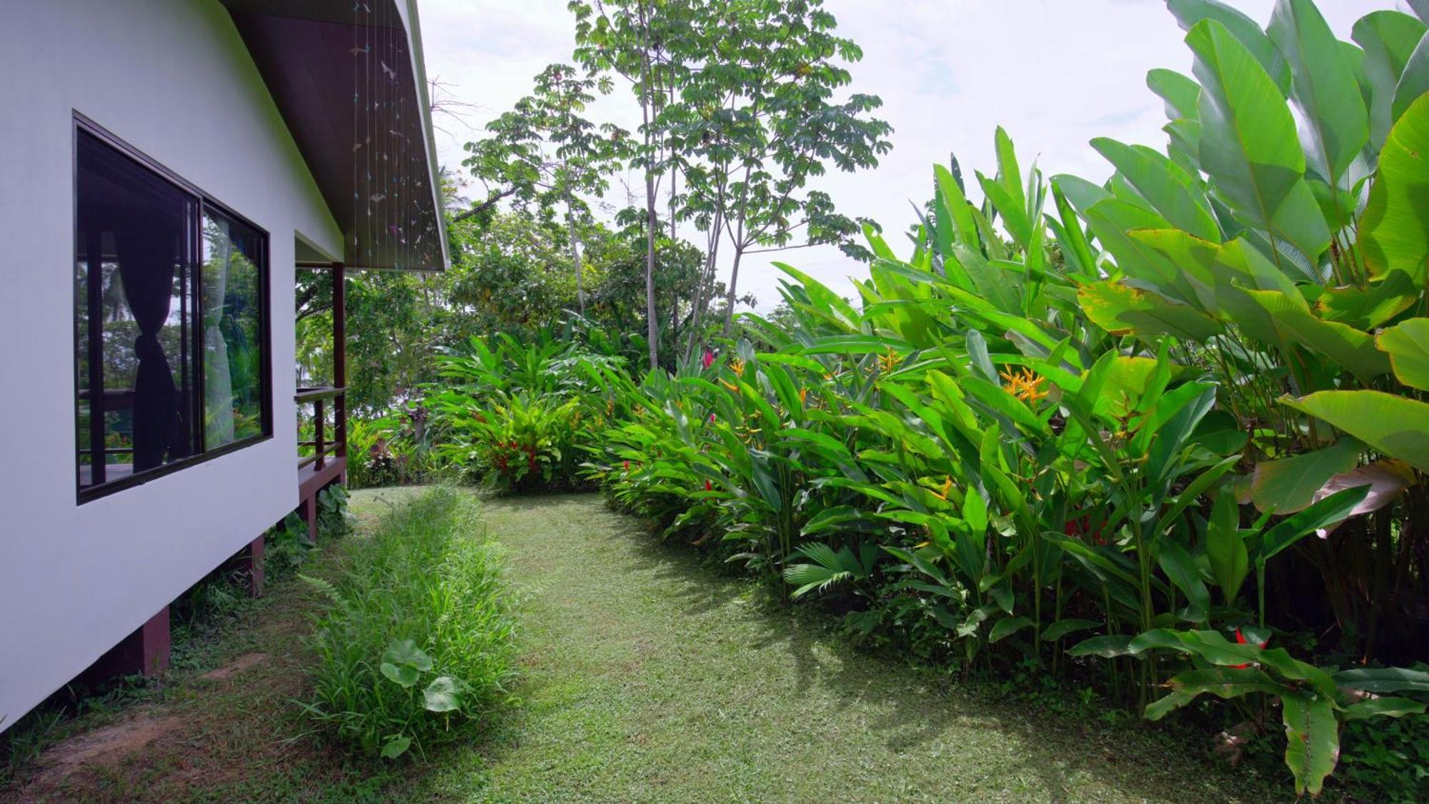 Eden Corcovado Villa San Pedrillo Dış mekan fotoğraf